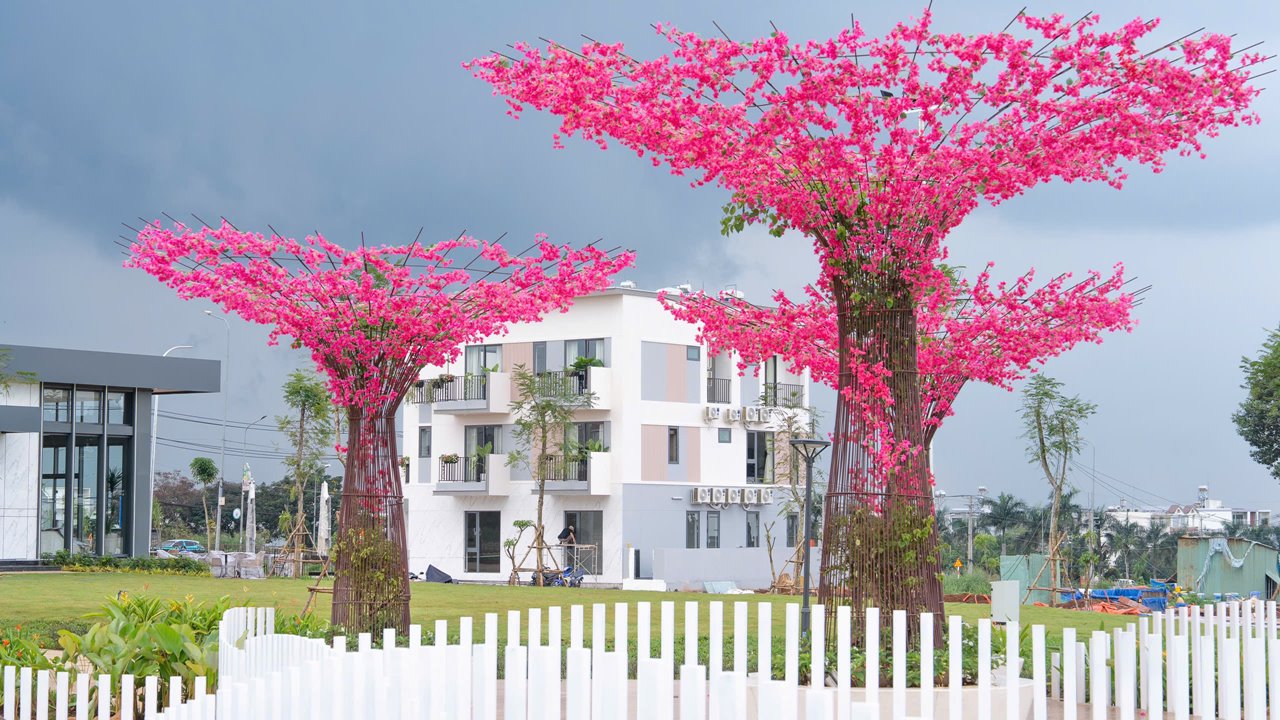 tiến độ đô thị dầu giây